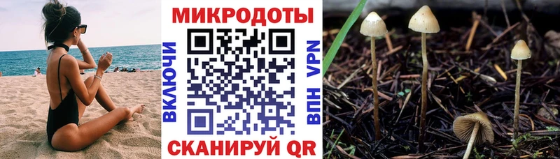Галлюциногенные грибы MAGIC MUSHROOMS  купить  цена  Королёв 